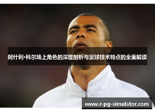 阿什利·科尔场上角色的深度剖析与足球技术特点的全面解读