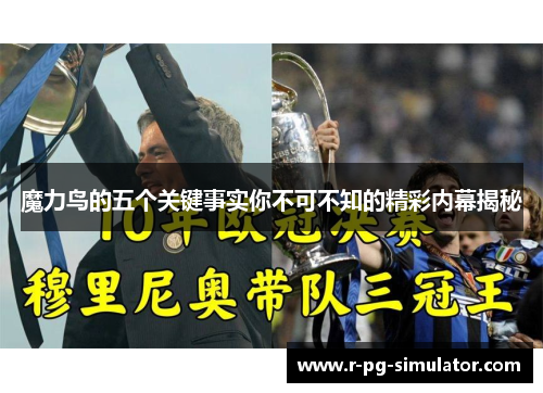 魔力鸟的五个关键事实你不可不知的精彩内幕揭秘 魔力鸟的五个关键事实你不可不知的精彩内幕揭秘